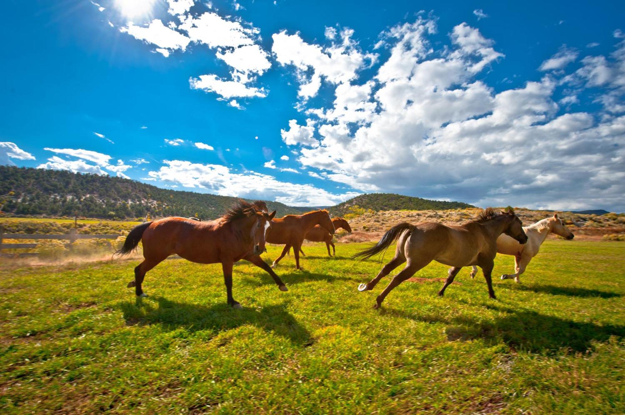 Boulder Mountain Guest Ranch Vila Exterior foto