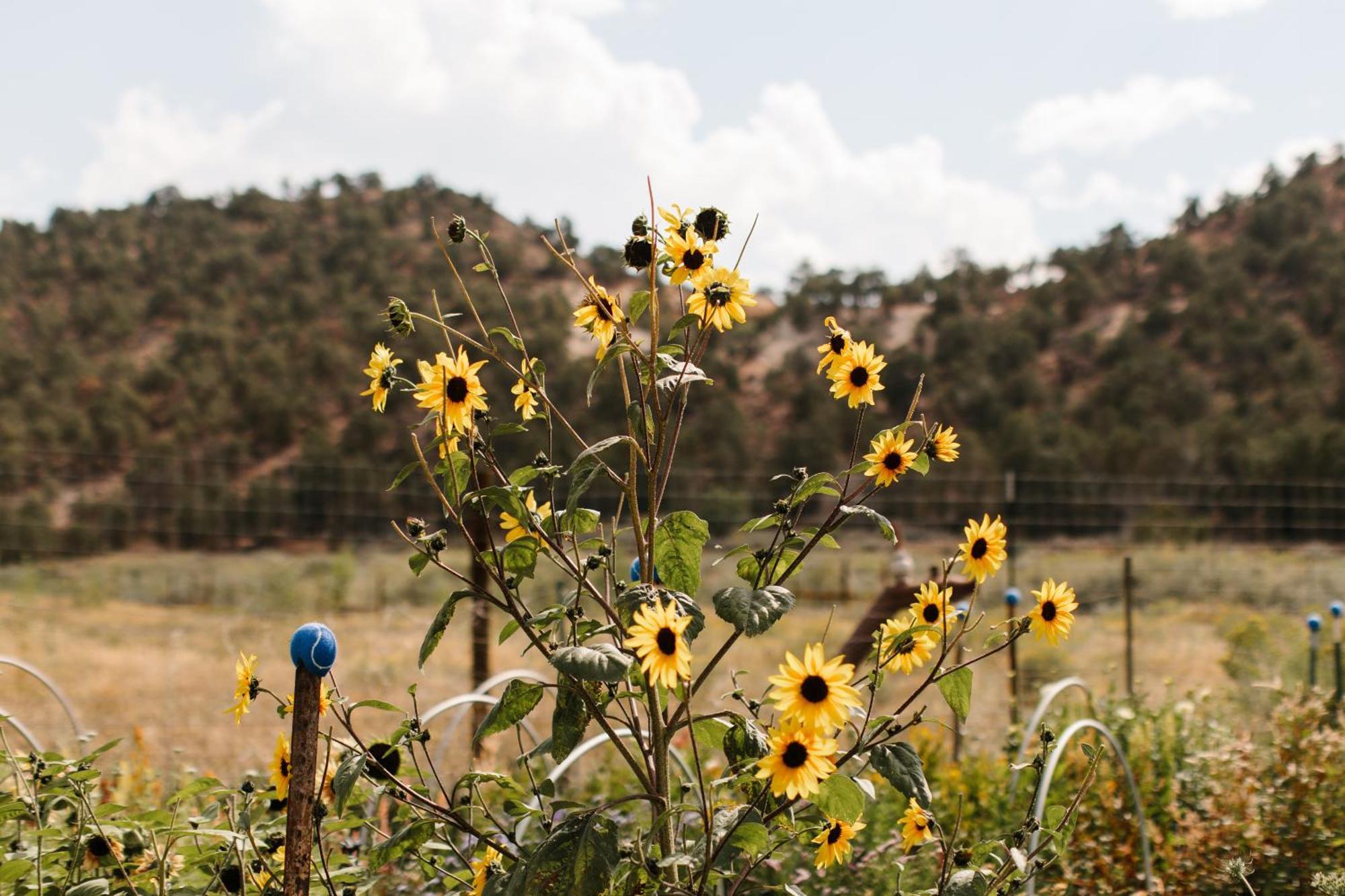 Boulder Mountain Guest Ranch Vila Exterior foto